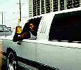 limo3.jpg